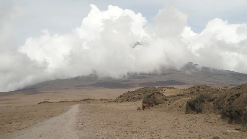 A quiet dirt trail with Kilimanjaro in the background