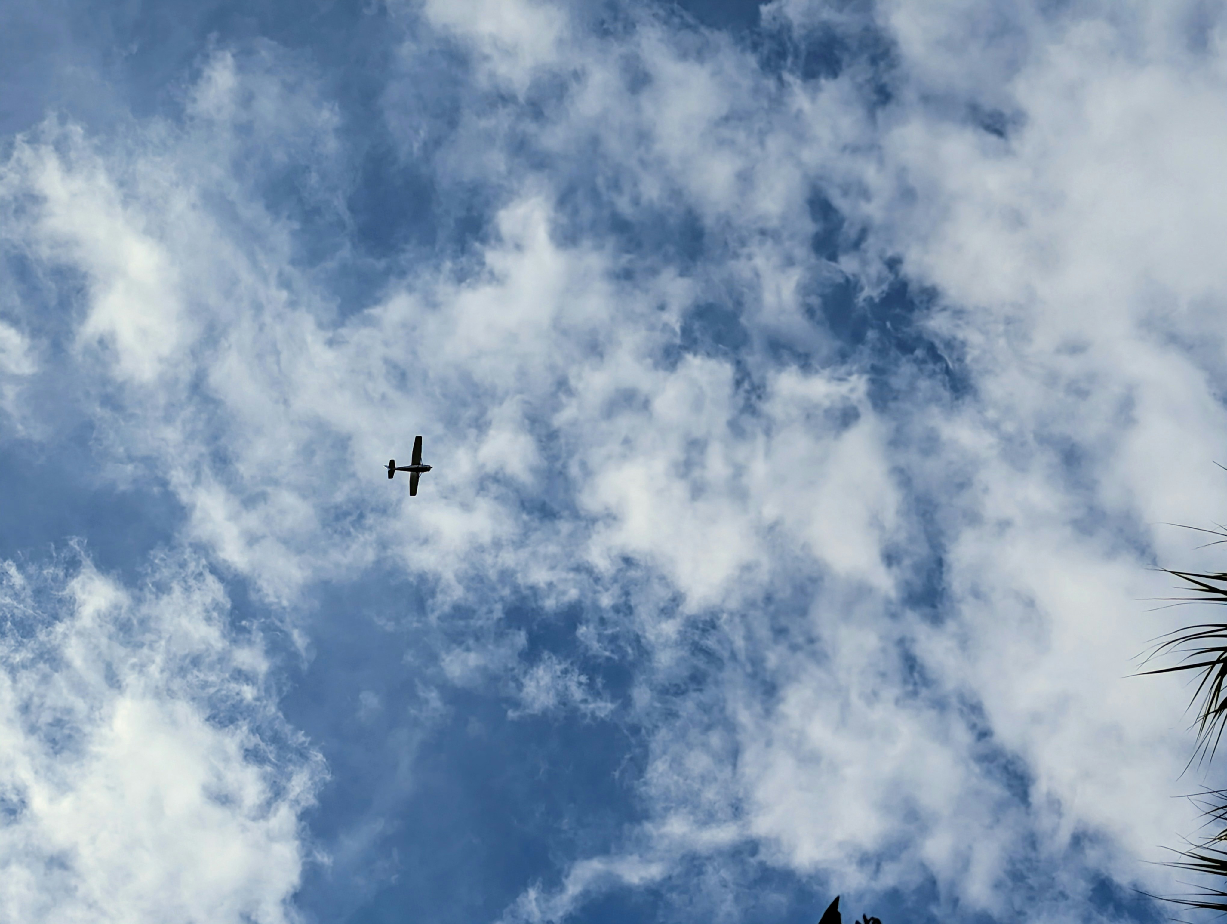 Photo by tamrootbeer