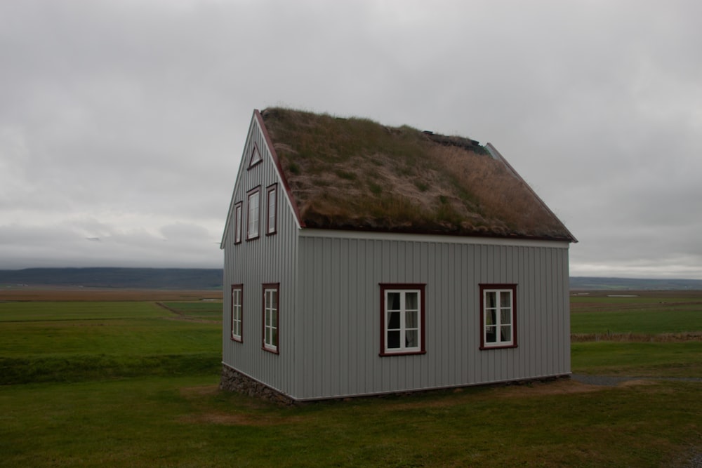 a small house with a grass roof and windows