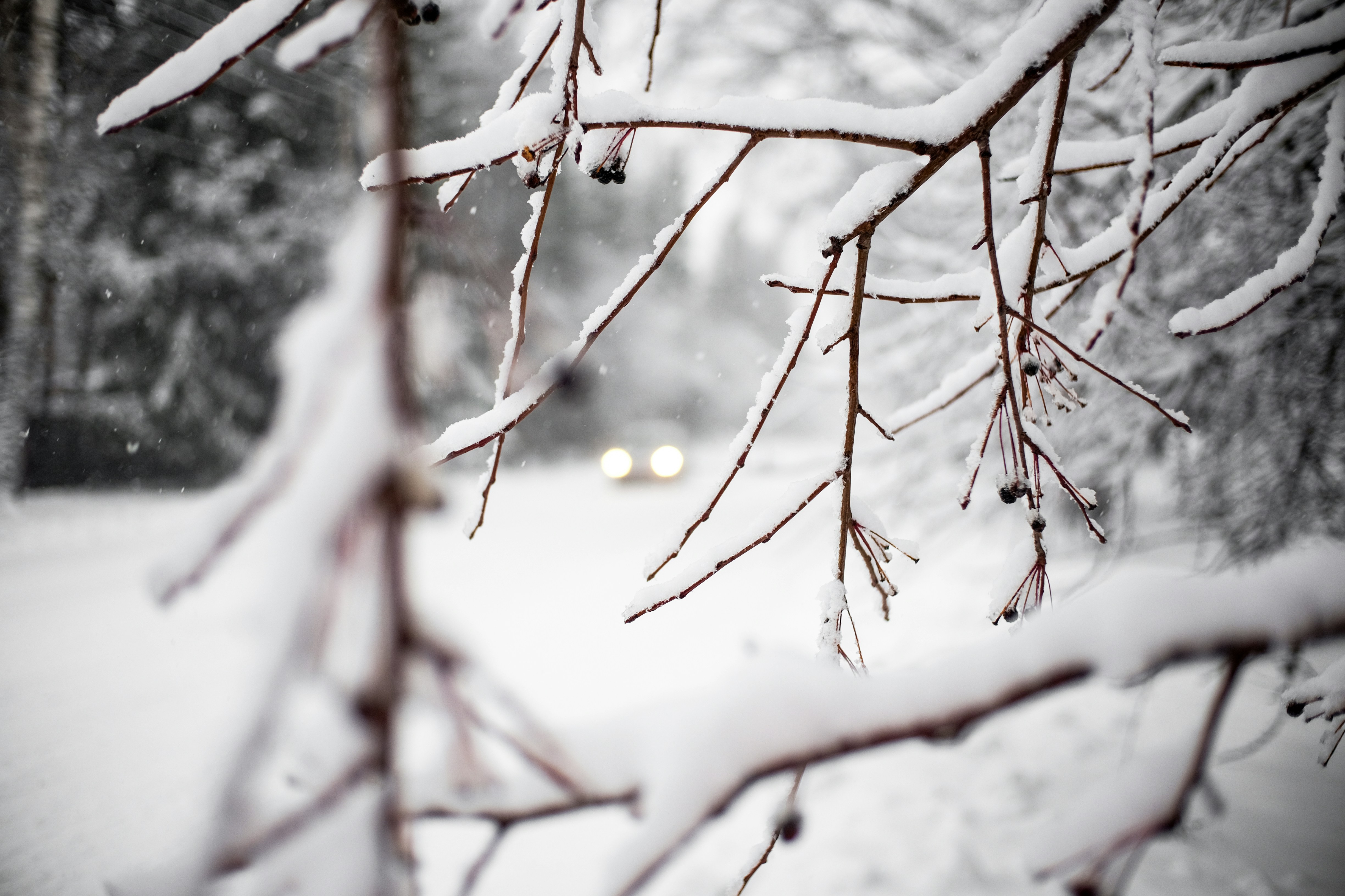 ein Auto, das eine schneebedeckte Straße entlangfährt