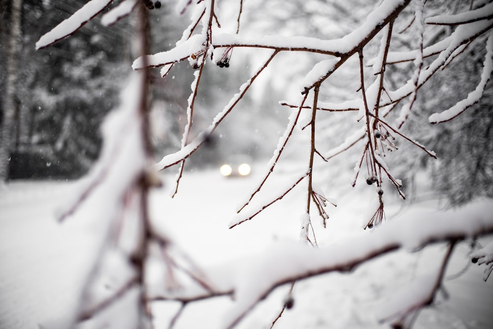 a car driving down a snow covered road