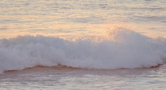 Calm waves gently touching the shore under a soft sunset.
