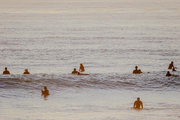 A group of happy surf students sitting on their boards in the calm ocean, with tropical greenery in the background.