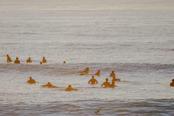 A group of surfers catching waves at sunrise on a calm beach.