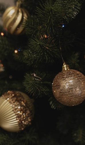 Close-up of sparkling Christmas tree ornaments hanging on lush green branches.