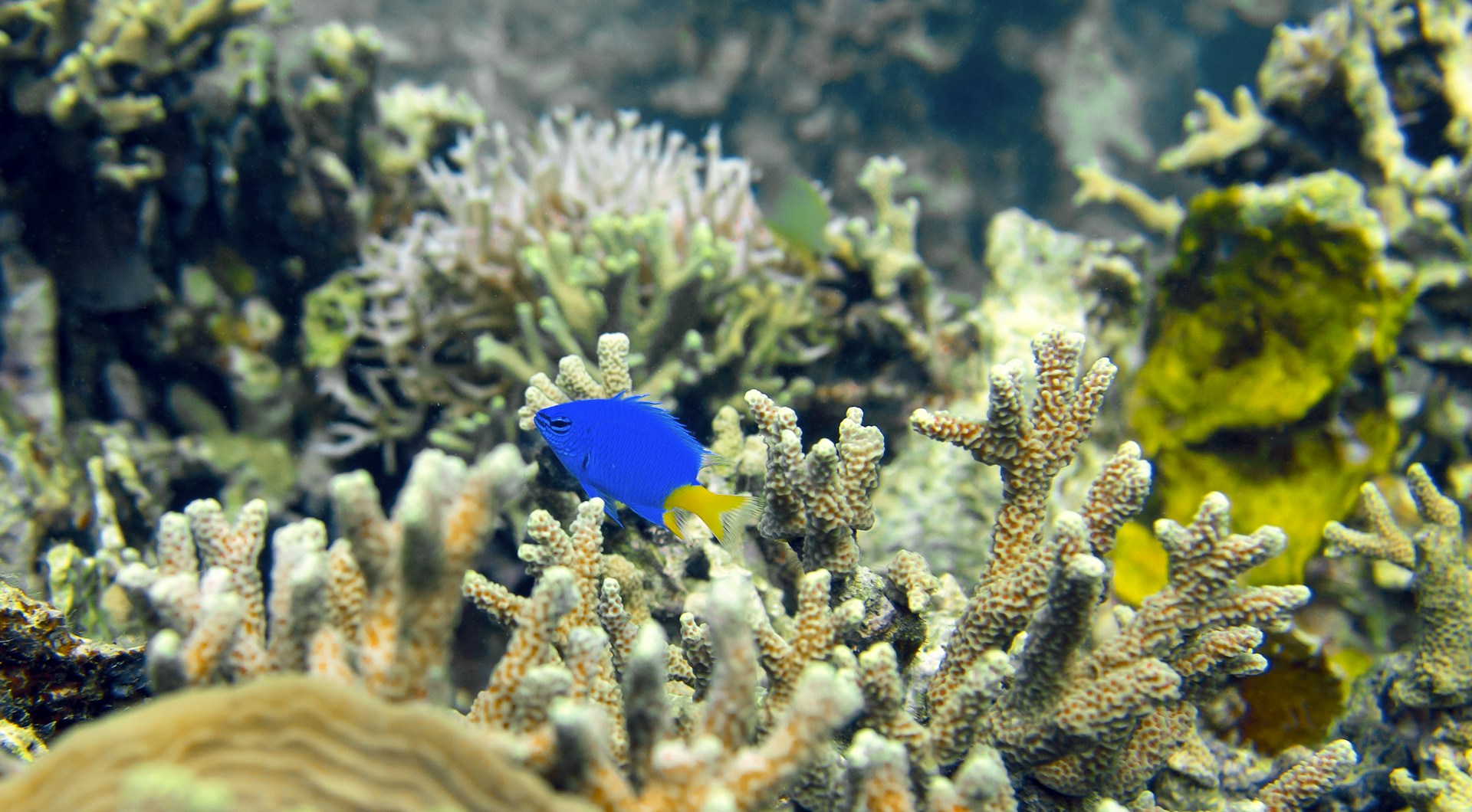 person wearing grey knit sweater