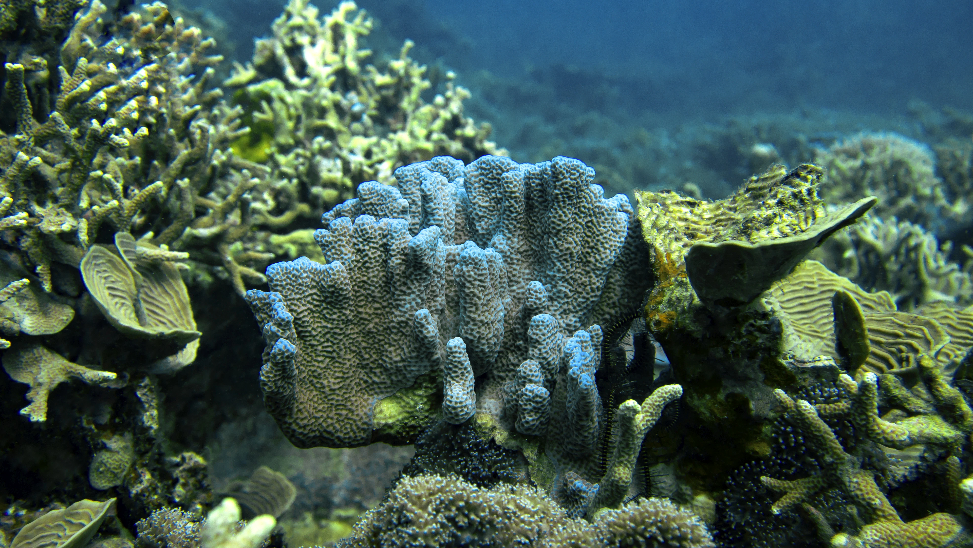Green Rock