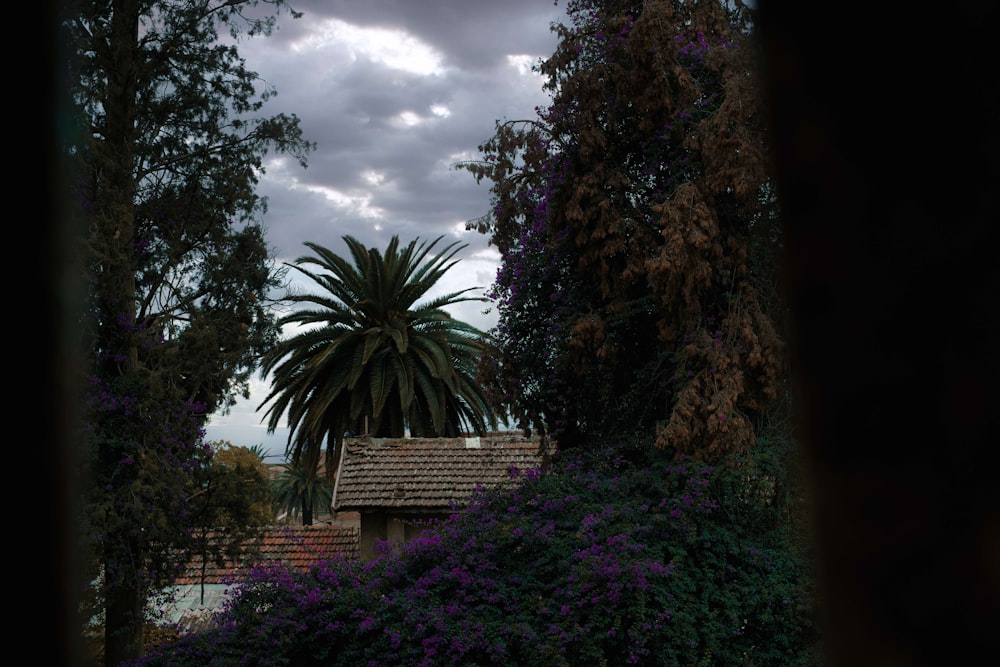 a house surrounded by trees and purple flowers