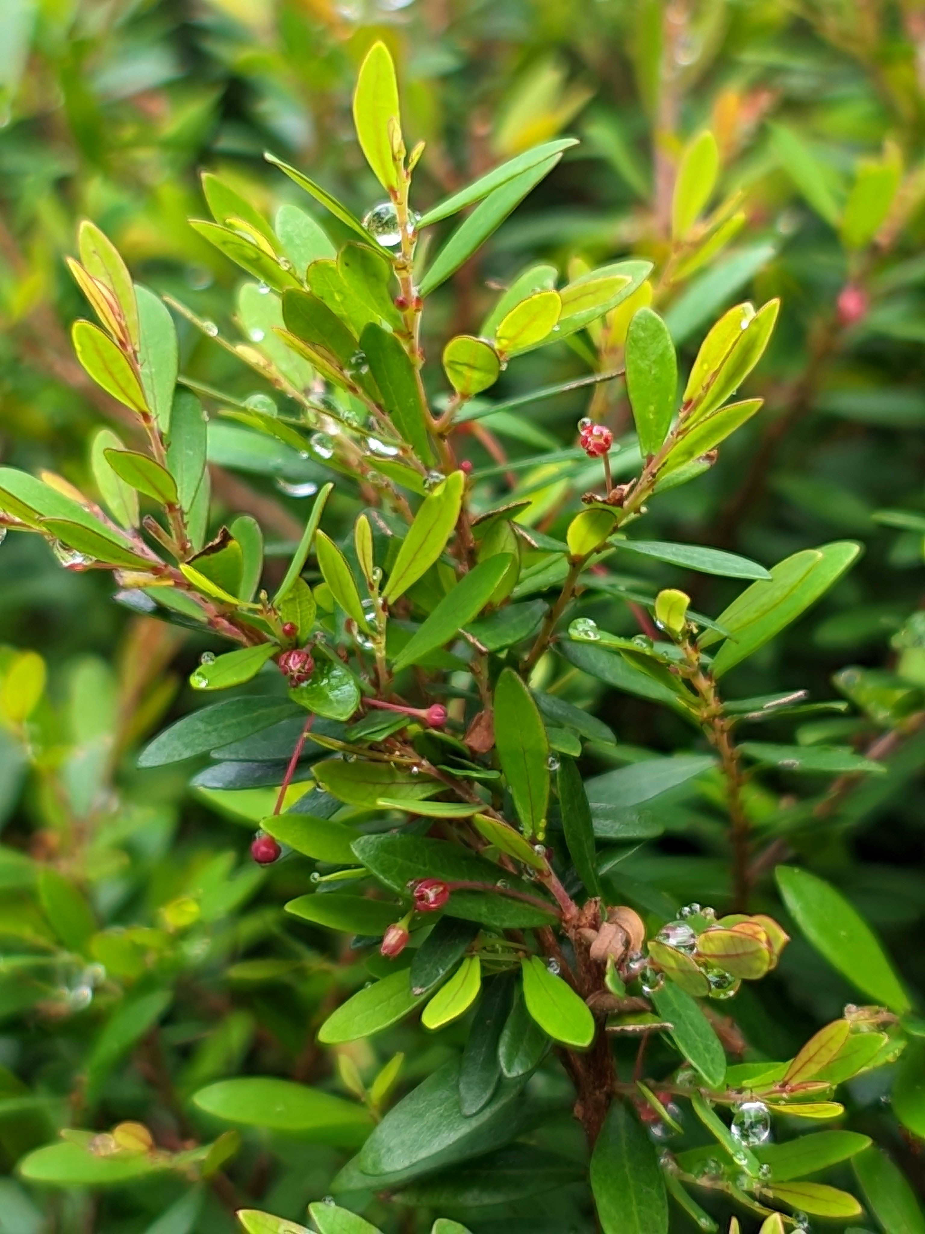 Photo by syamnani140