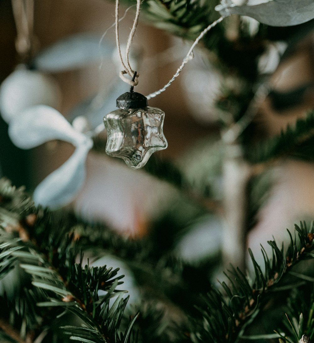 a glass ornament hanging from a christmas tree