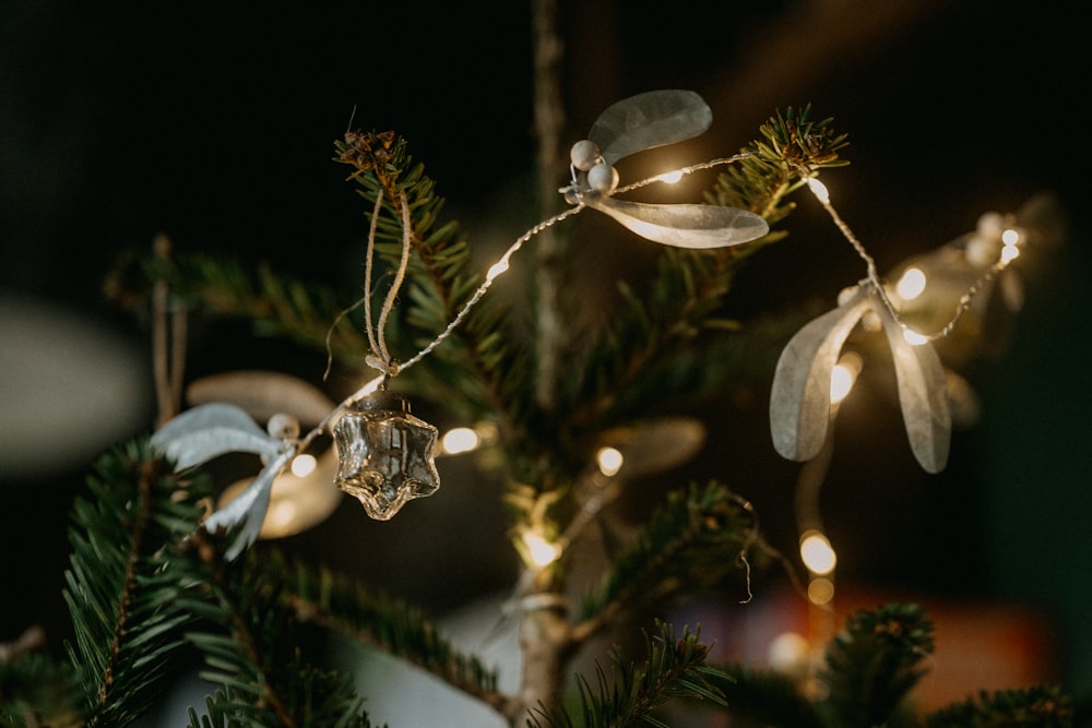 a close up of a christmas tree with lights