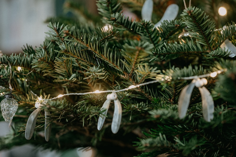 Eine Nahaufnahme eines Weihnachtsbaums mit Lichtern