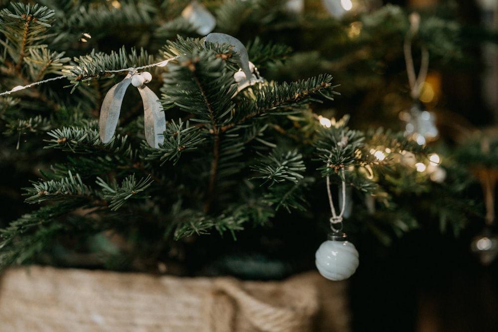 a close up of a christmas tree with ornaments