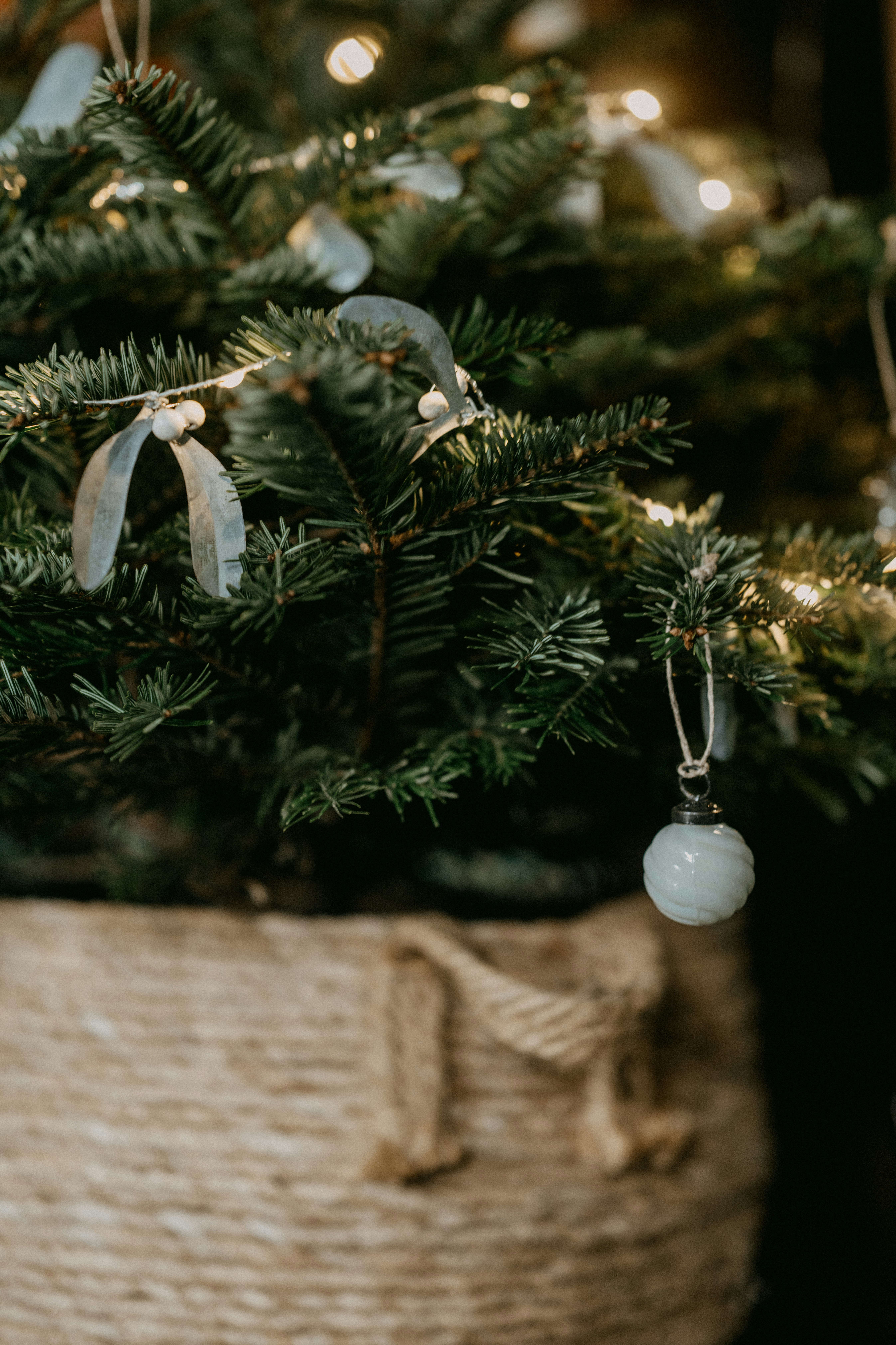 Photo by anniespratt