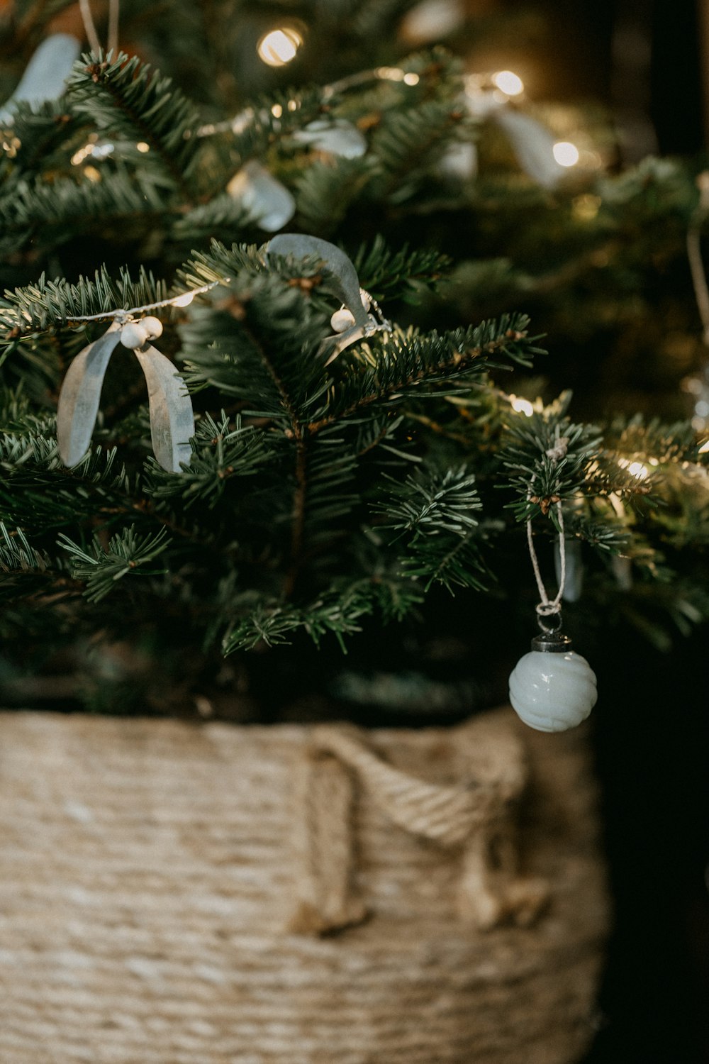 a close up of a christmas tree in a basket