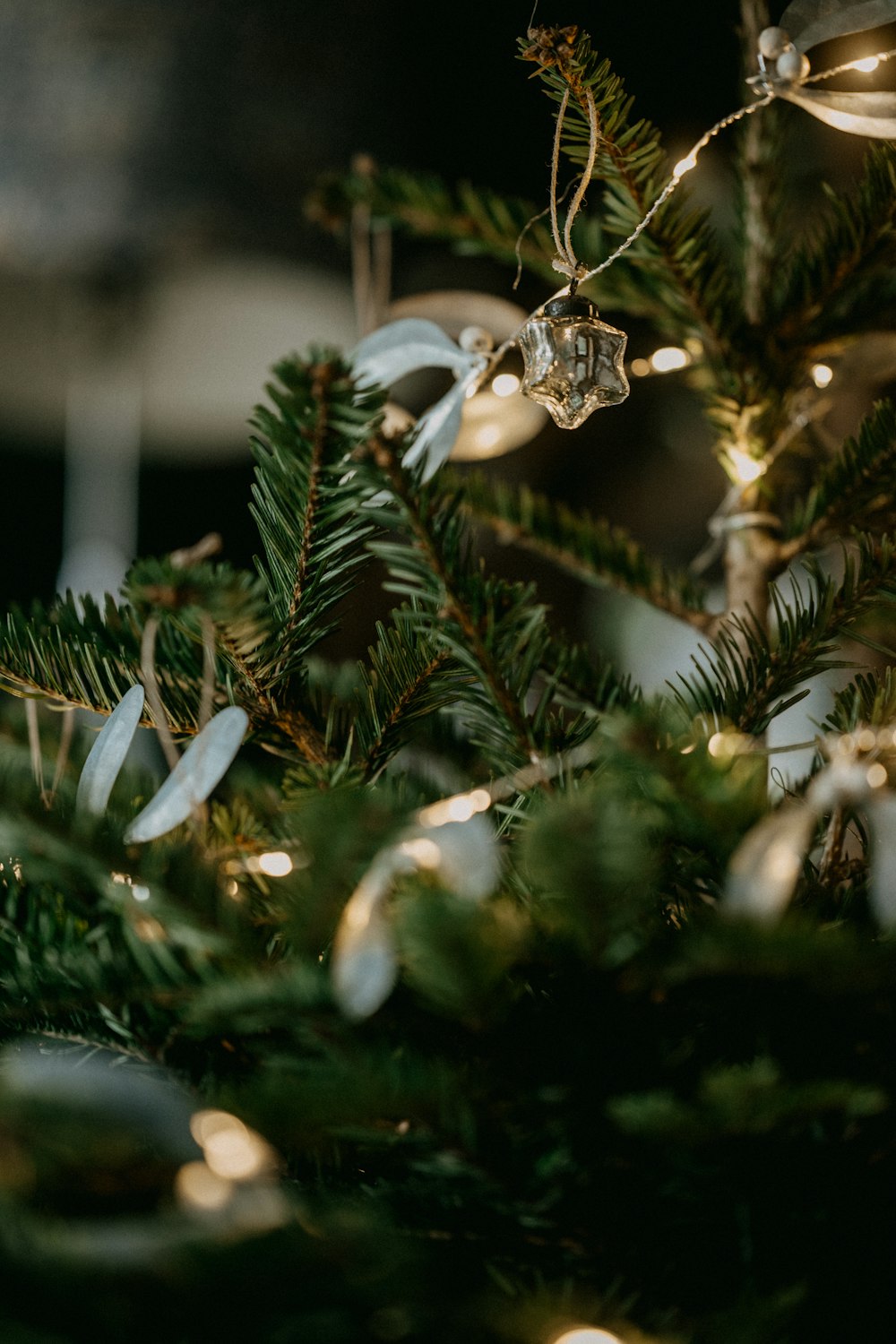 a close up of a christmas tree with lights