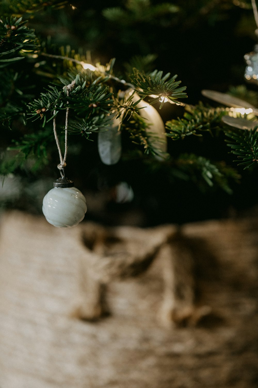 a christmas ornament hanging from a tree