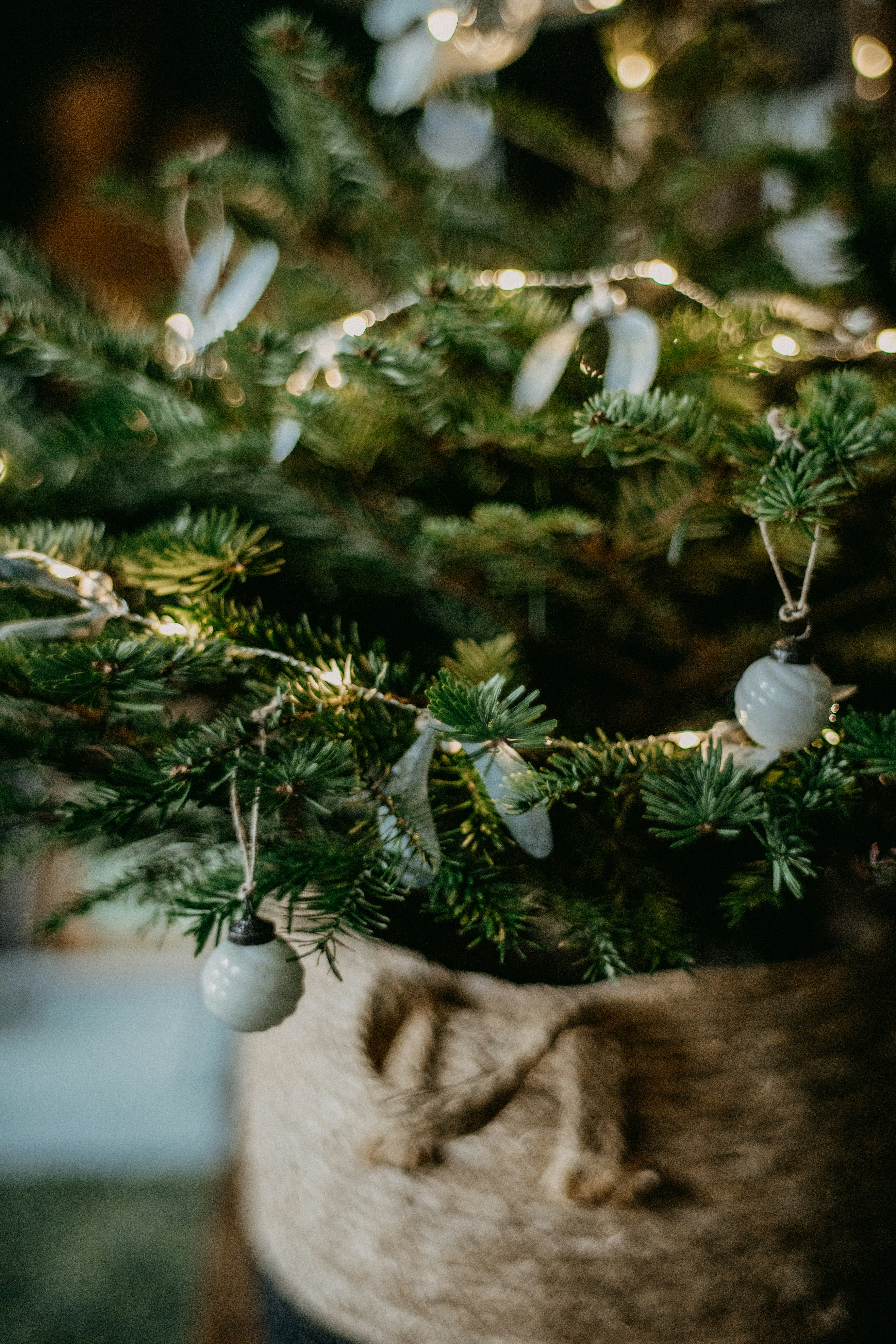 Photo by anniespratt