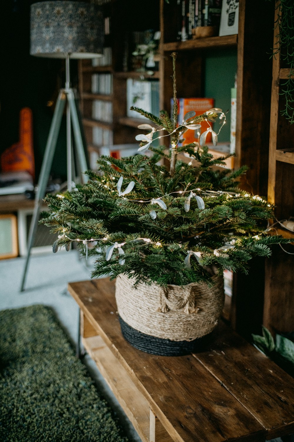 a potted plant sitting on top of a wooden table