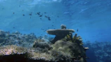 A panoramic underwater shot showing multiple datlantis data centers arranged in a secure formation.