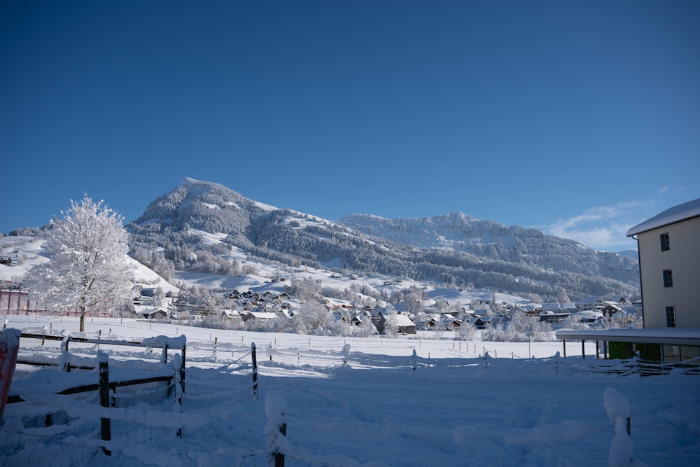 a snowy landscape with a mountain in the background