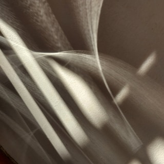 Dynamic light casting intricate patterns on a continuously changing 3D form.