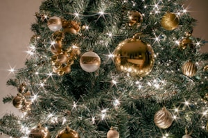 A Christmas tree adorned with golden and white ornaments, including baubles and ribbons, surrounded by twinkling lights. The greenery of the tree is lush and densely packed, creating a festive and elegant display.