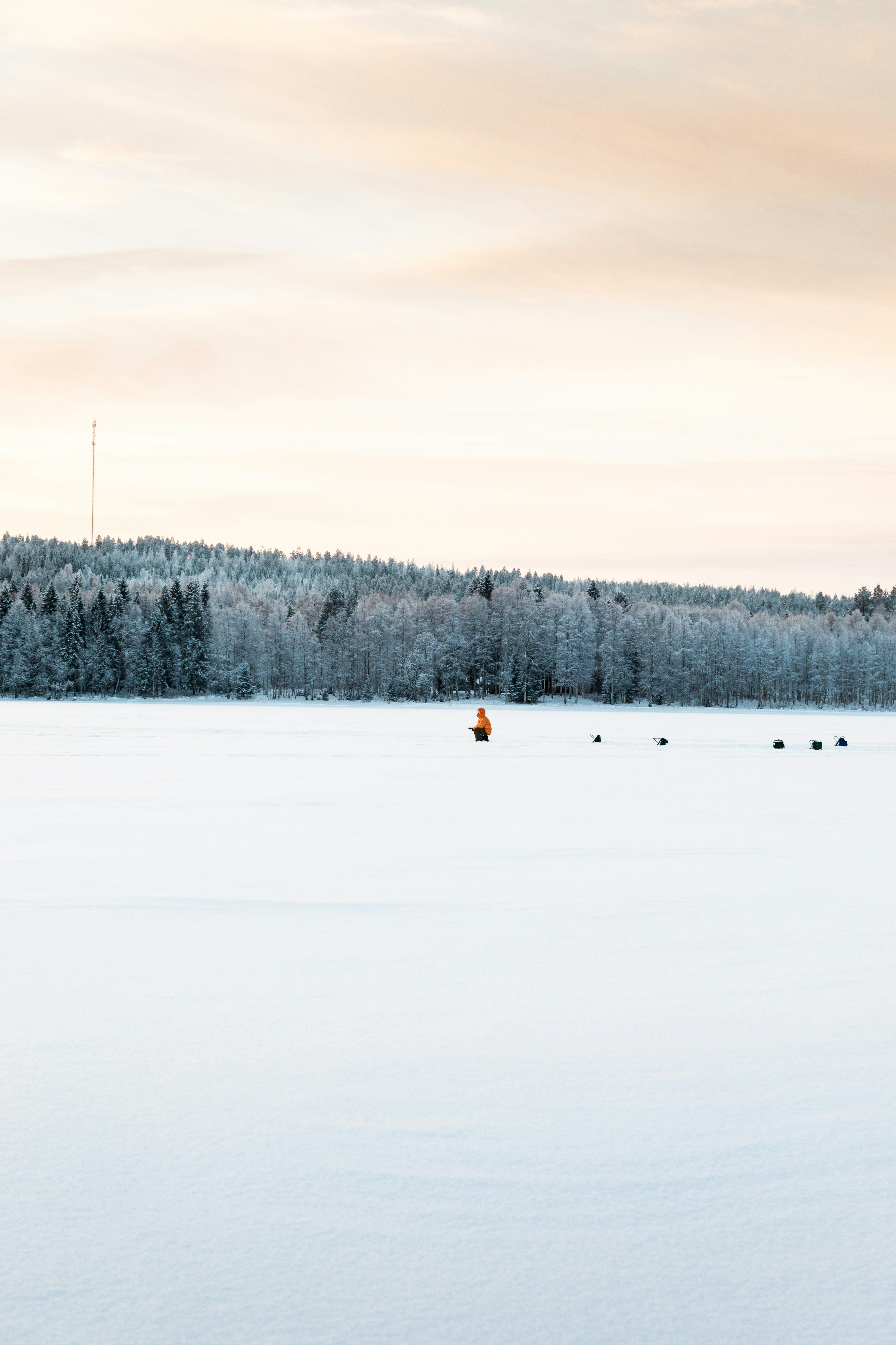 Photo by simonhumlr