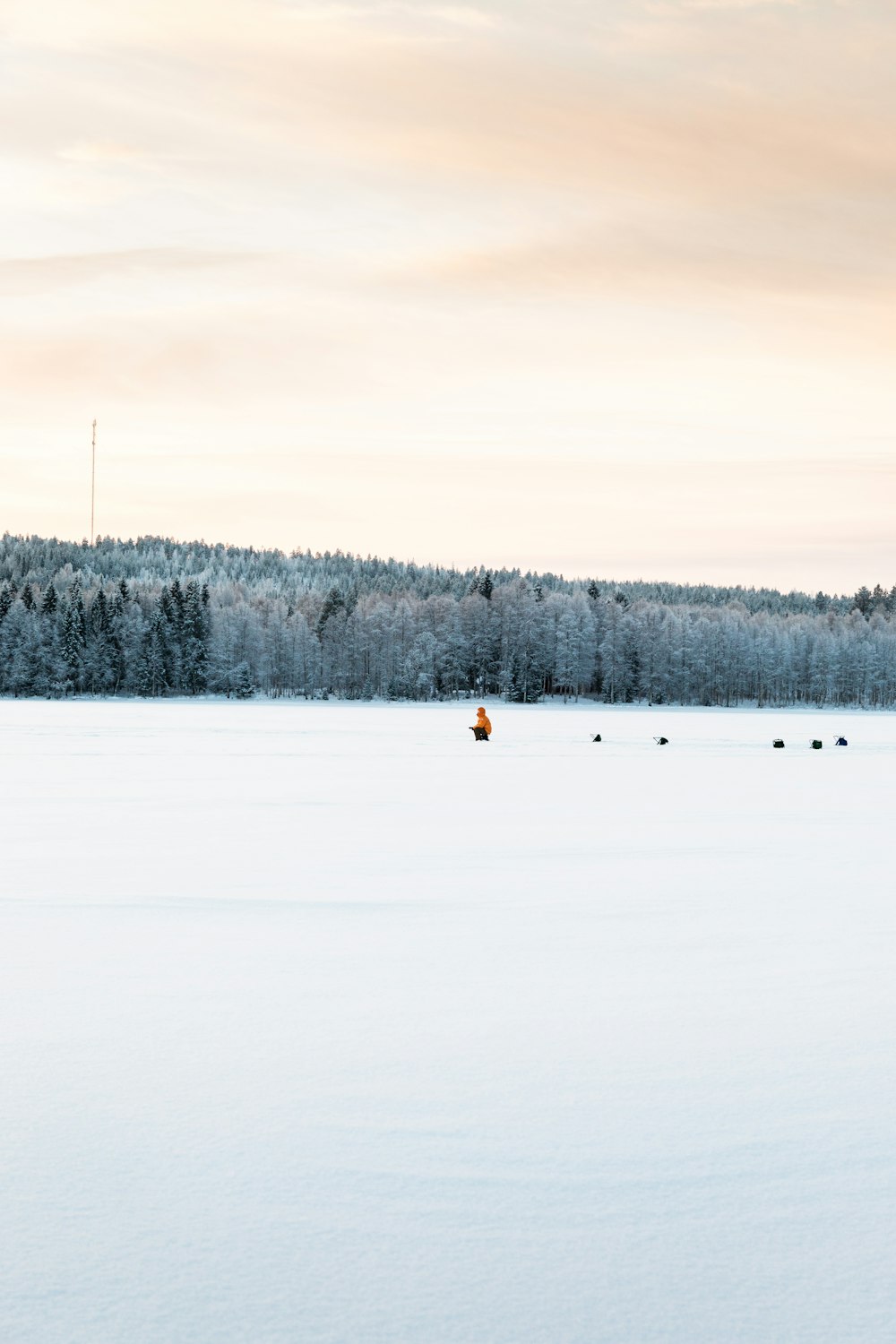 a field covered in snow next to a forest