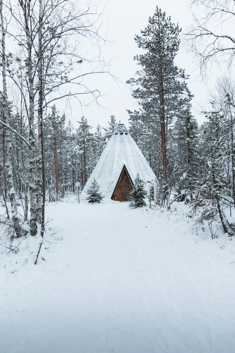 a small cabin in the middle of a snowy forest