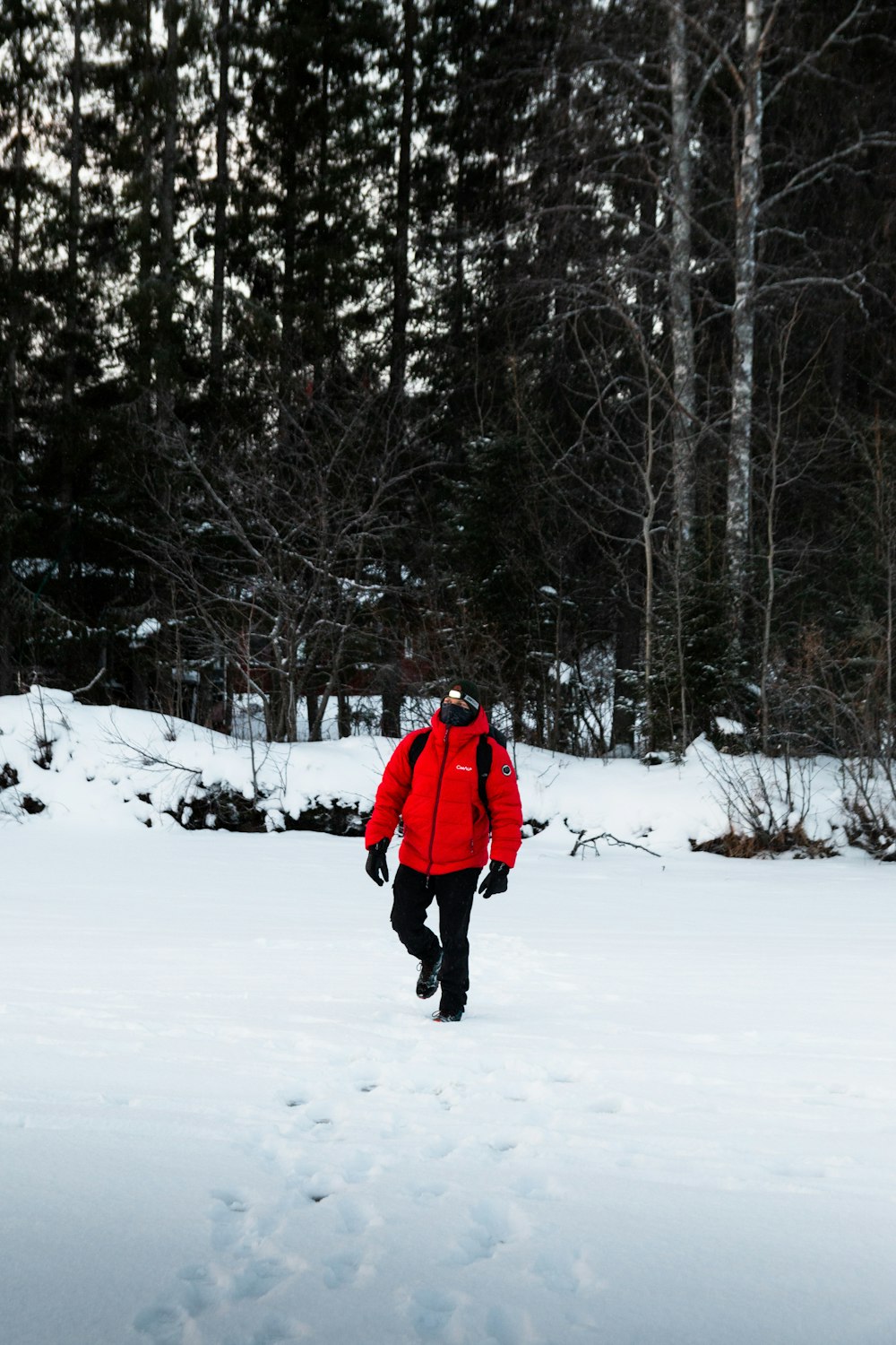 a man in a red jacket is walking through the snow
