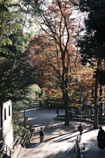A serene outdoor retreat setting with participants meditating under autumn trees.