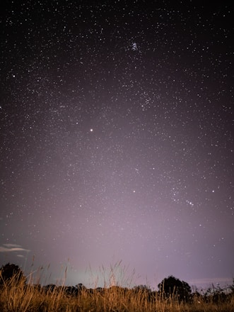A serene night sky with constellations forming zodiac signs above a peaceful landscape.