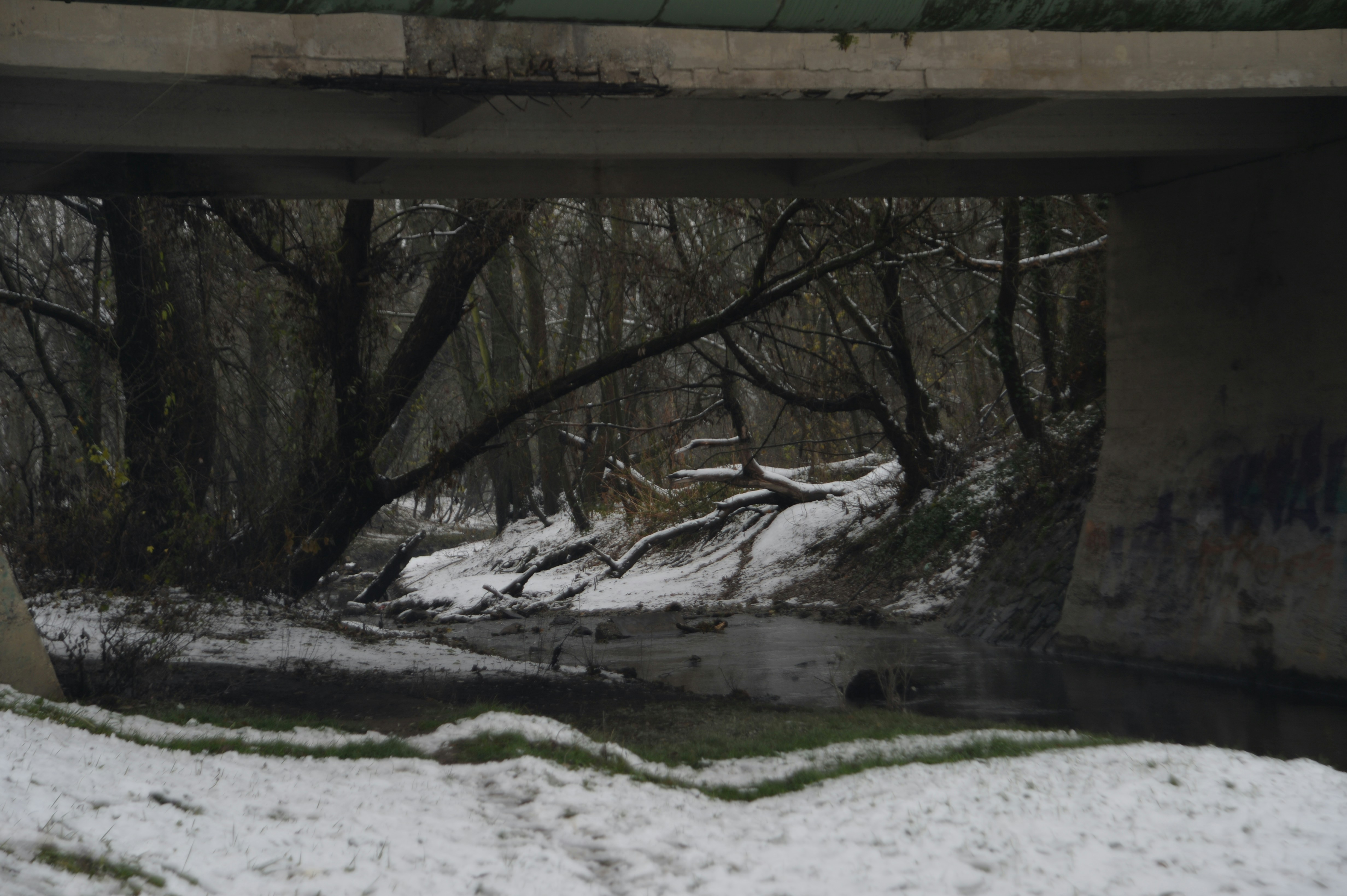 Photo by baliko_andras