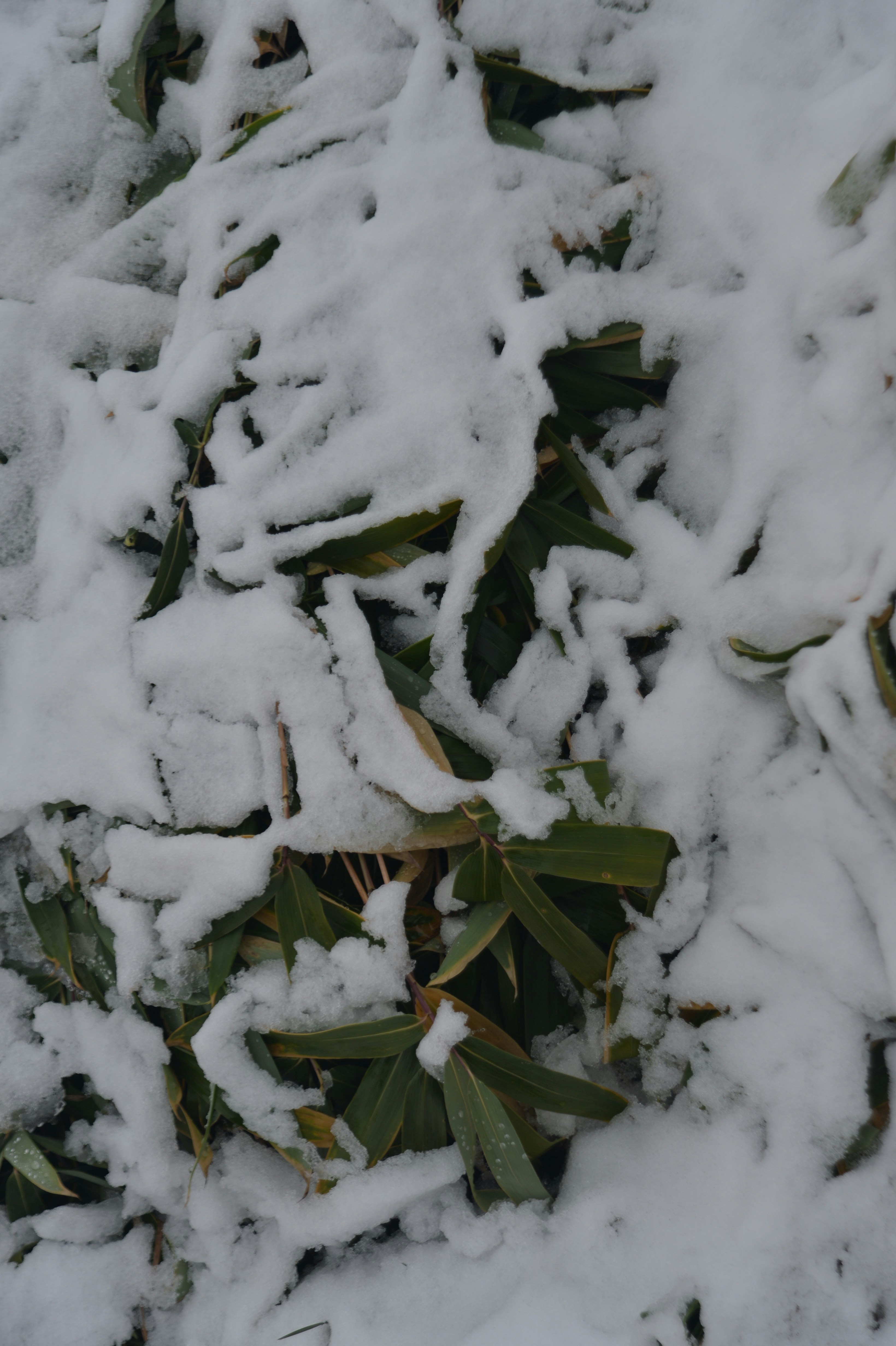 Photo by baliko_andras