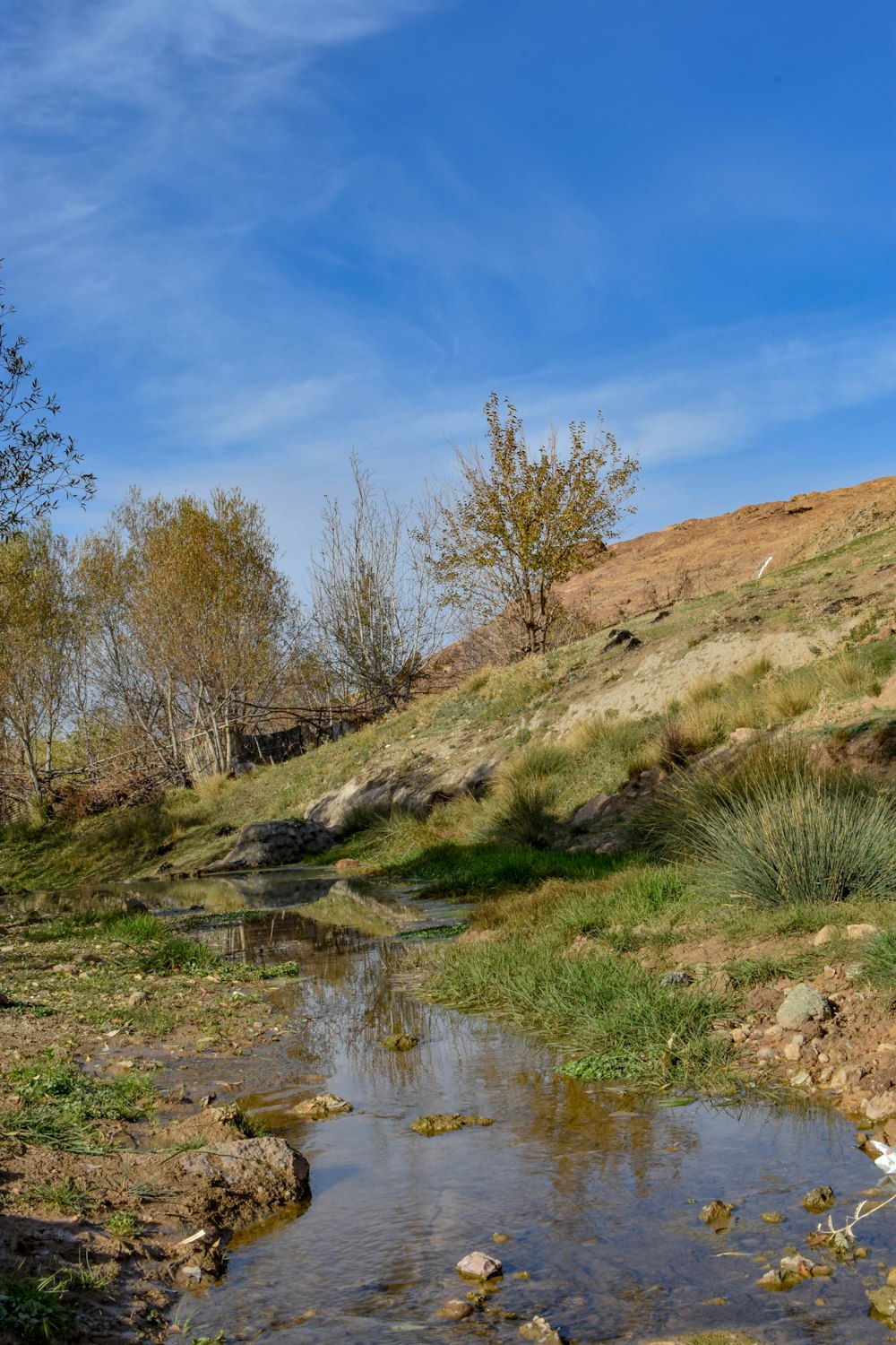 a stream running through a lush green hillside