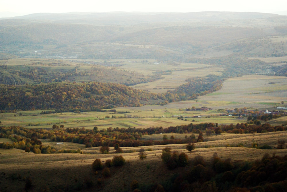 a scenic view of a valley with trees in the background