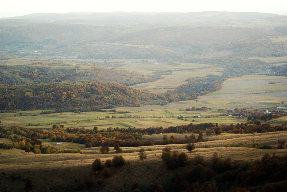 une vue panoramique d’une vallée avec des arbres en arrière-plan