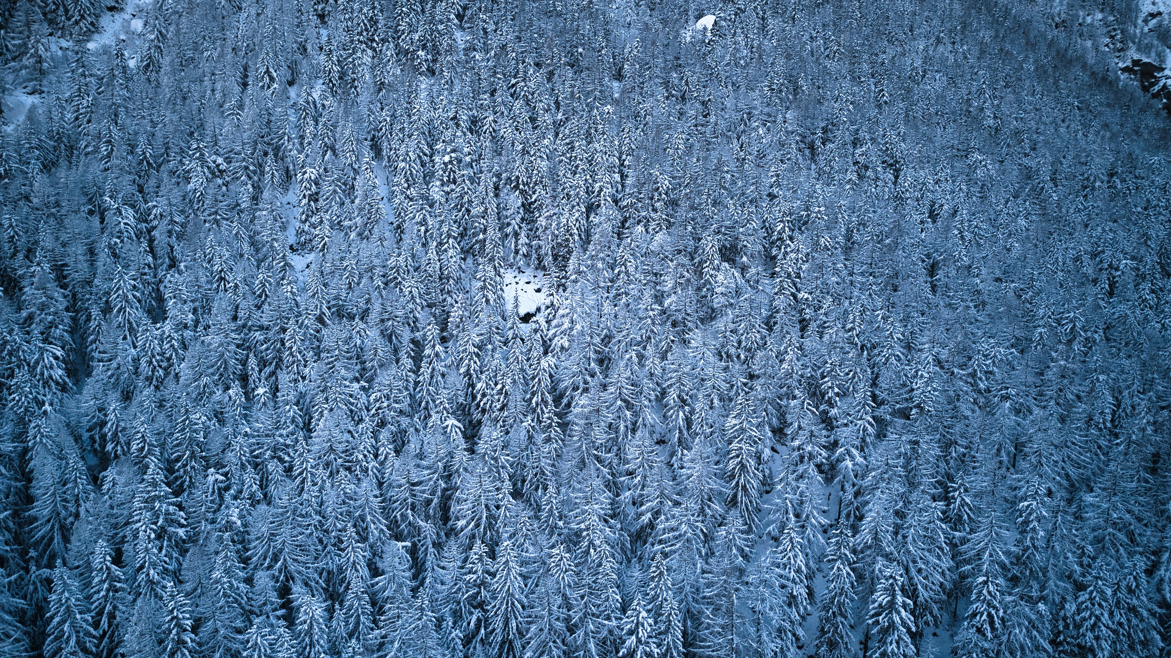 Photo by misterjackdaniel