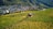 A lush vineyard extends across rolling hills towards a small town nestled in a valley. A wooden shed is situated among the rows of grapevines. In the background, there are numerous buildings and houses surrounded by dense greenery and mountains.