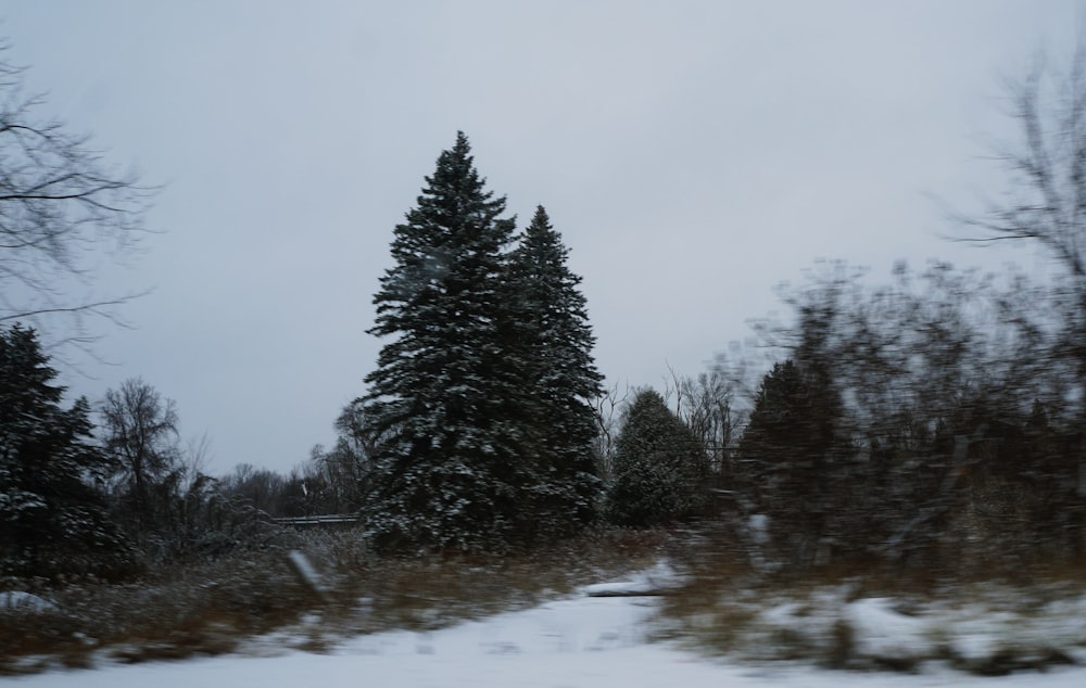 a snow covered road with trees in the background