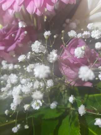 Close-up of a delicate pink rose arrangement with baby's breath accents