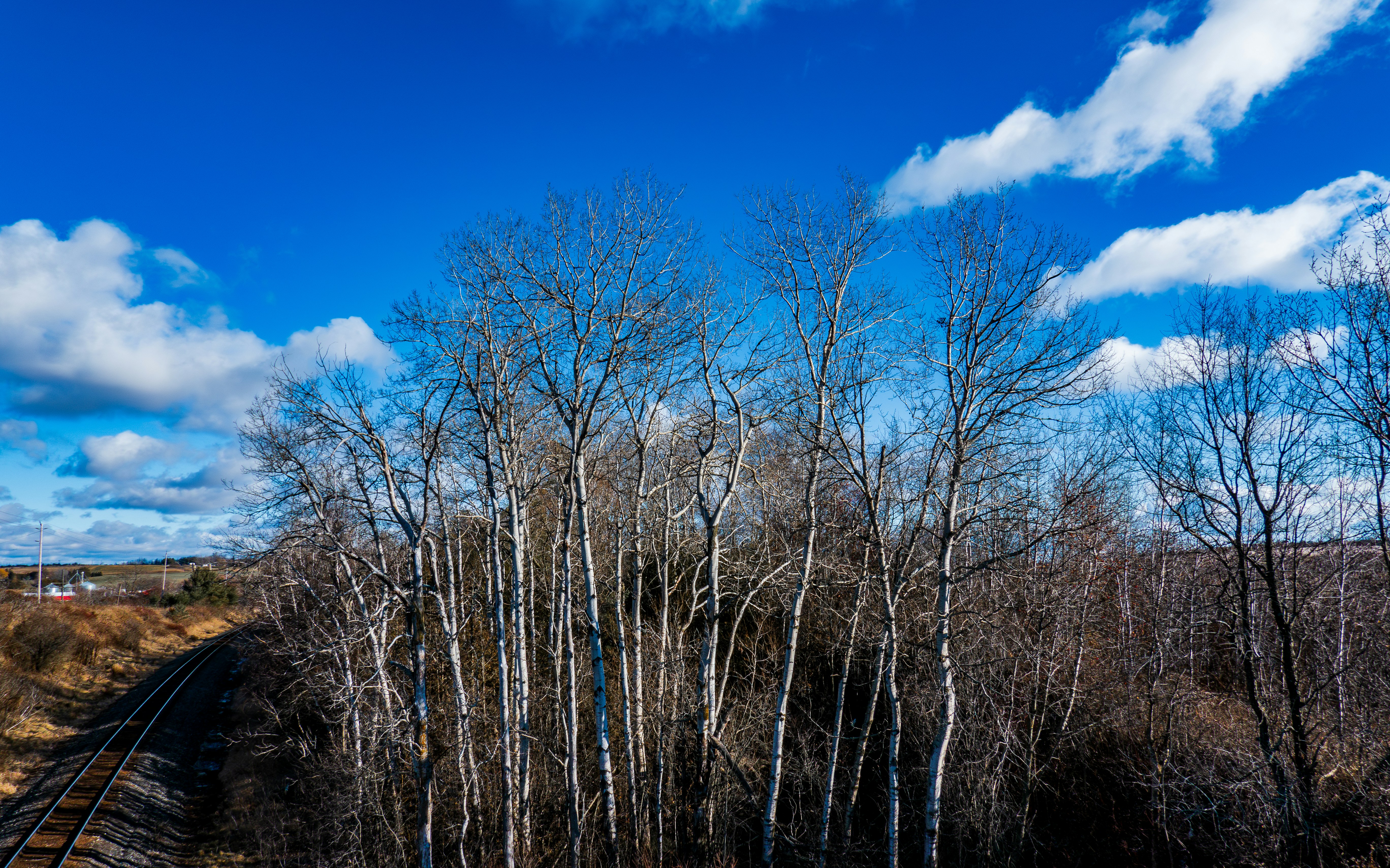 Photo by chris_robert