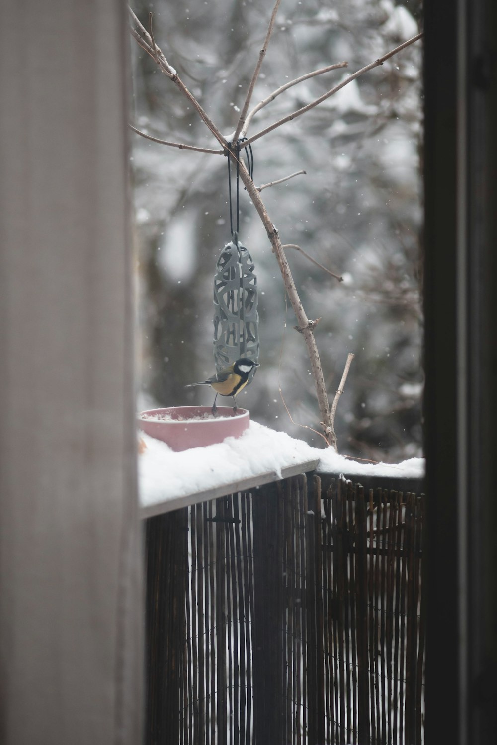 une mangeoire à oiseaux suspendue à un arbre dans la neige