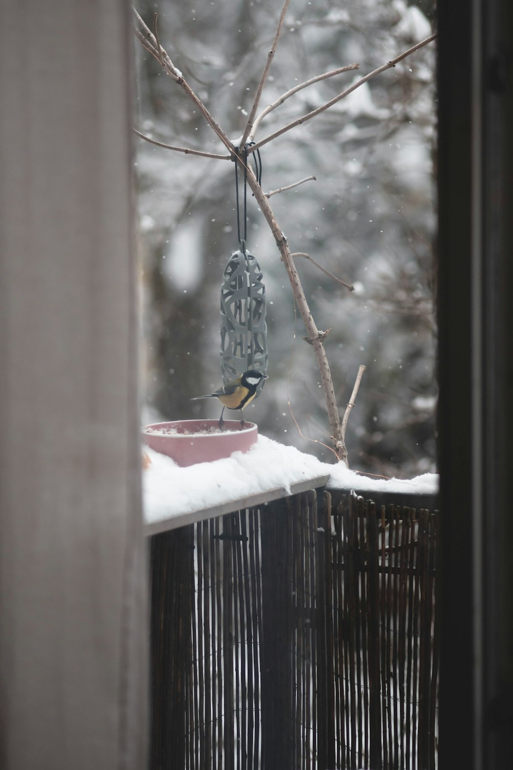 a bird feeder hanging from a tree in the snow