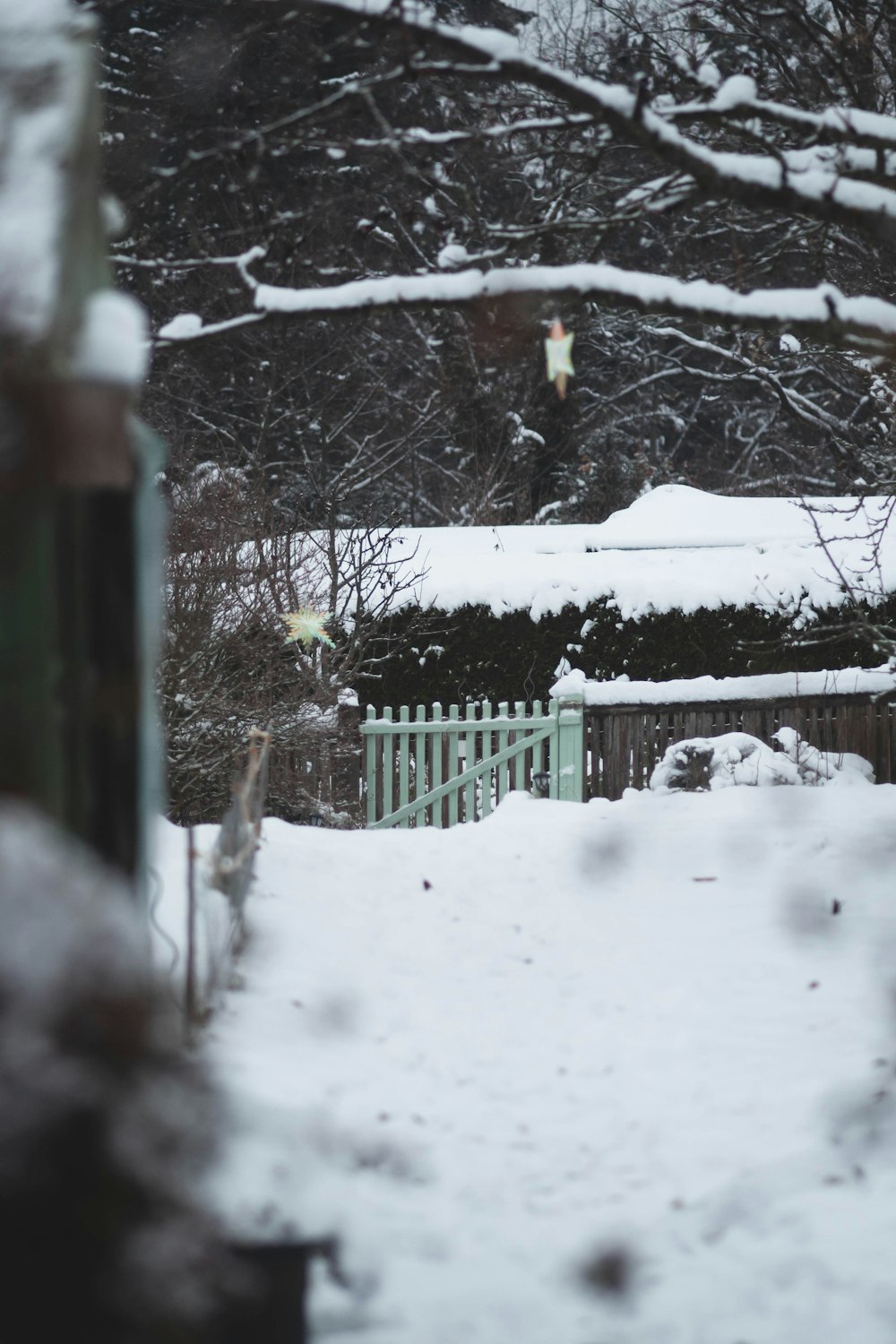 a snow covered yard with a fence and trees