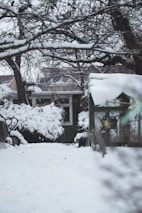 A snow-covered yard with a greenhouse and trees burdened by snow. The ground, branches, and bushes are all blanketed in a thick layer of snow, creating a serene winter scene. In the background, a small shed or building adds to the atmosphere.