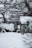 A snow-covered yard with a greenhouse and trees burdened by snow. The ground, branches, and bushes are all blanketed in a thick layer of snow, creating a serene winter scene. In the background, a small shed or building adds to the atmosphere.