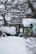 A snow-covered yard with a greenhouse and trees burdened by snow. The ground, branches, and bushes are all blanketed in a thick layer of snow, creating a serene winter scene. In the background, a small shed or building adds to the atmosphere.