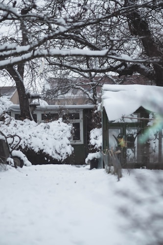 A snow-covered yard with a greenhouse and trees burdened by snow. The ground, branches, and bushes are all blanketed in a thick layer of snow, creating a serene winter scene. In the background, a small shed or building adds to the atmosphere.